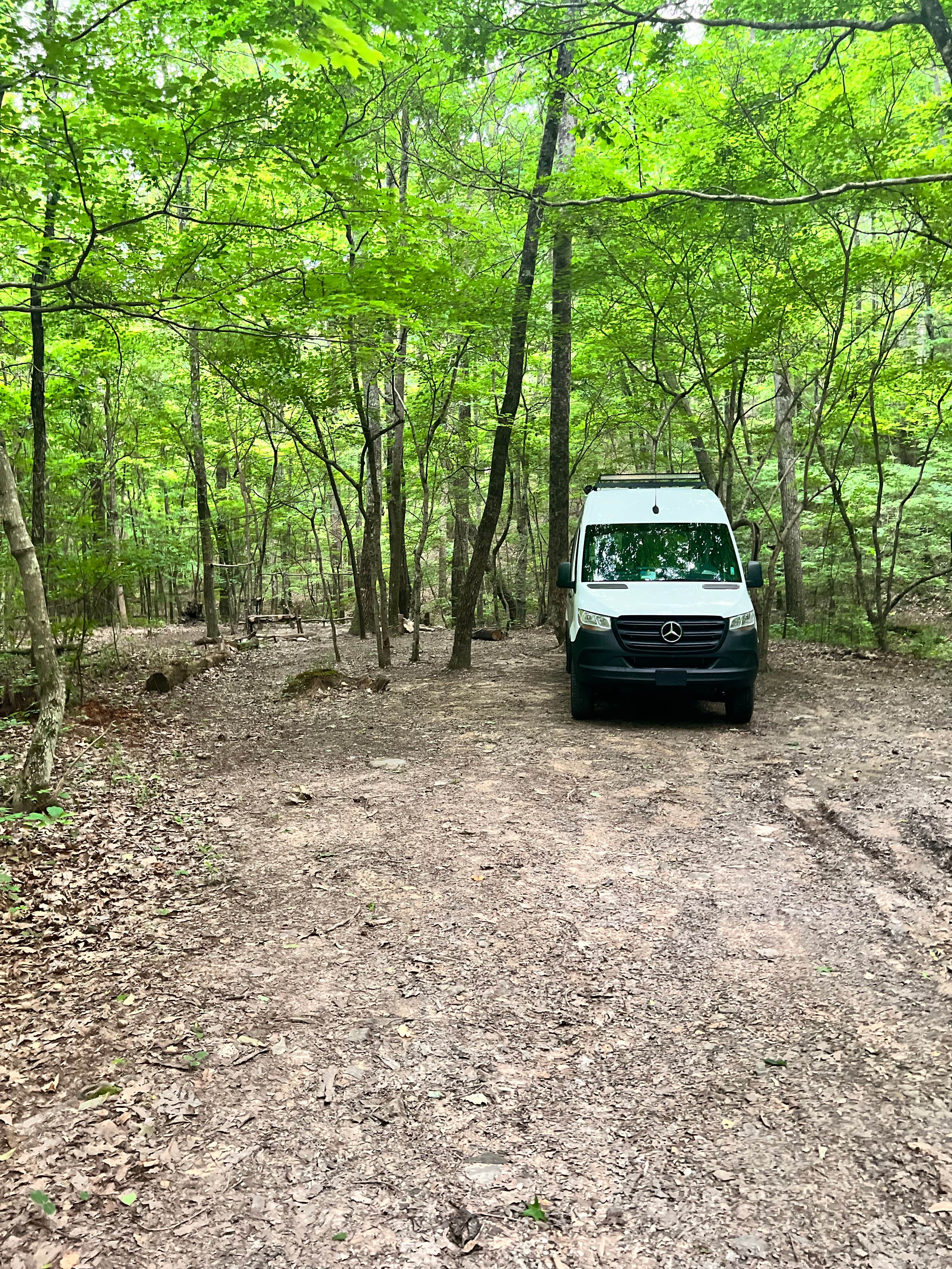 Camper submitted image from Hidden Creek Campground - 2