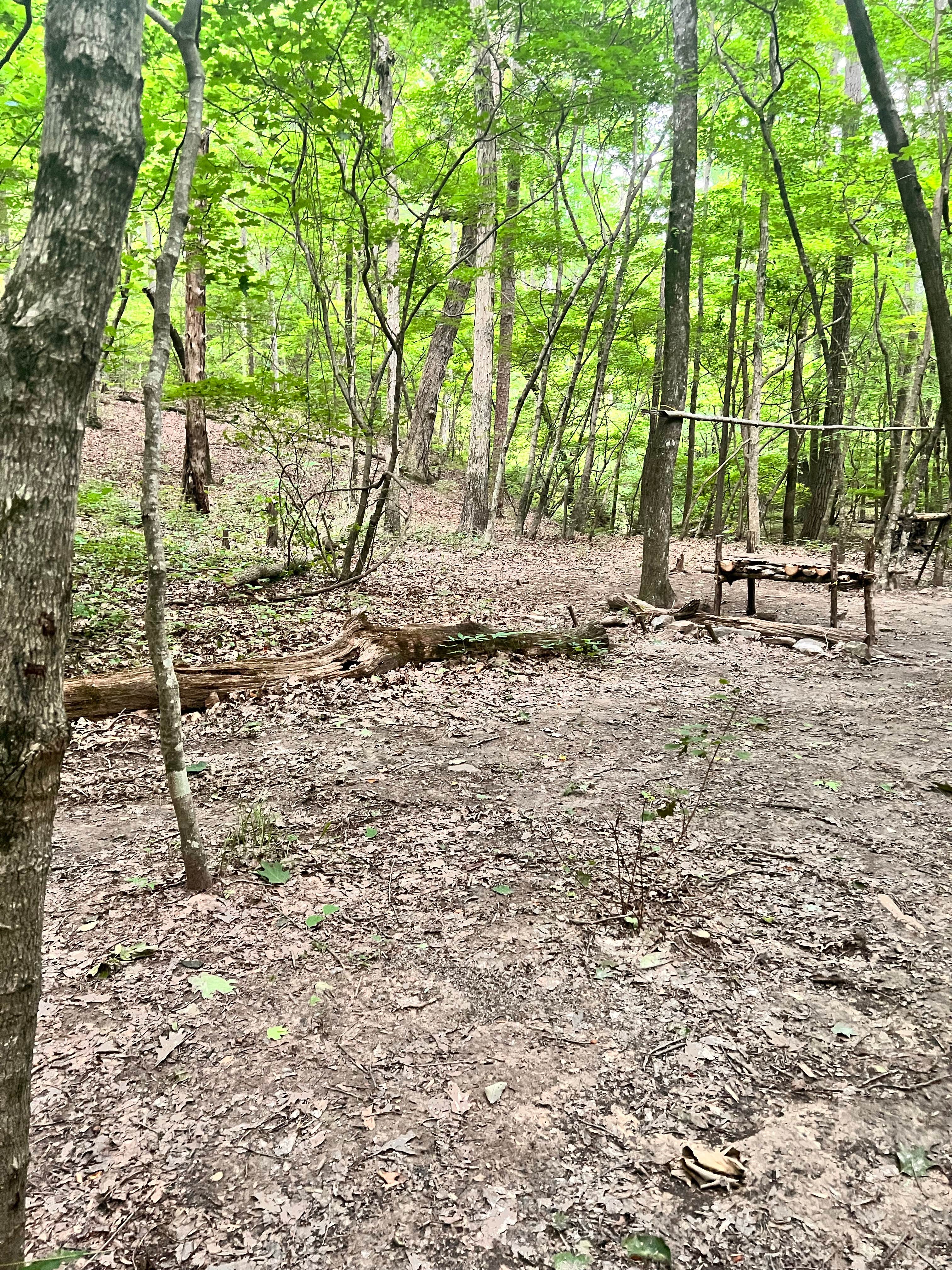 Camper submitted image from Hidden Creek Campground - 5