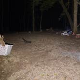 Review photo of Hidden Creek Campground by Tylor C., August 29, 2026