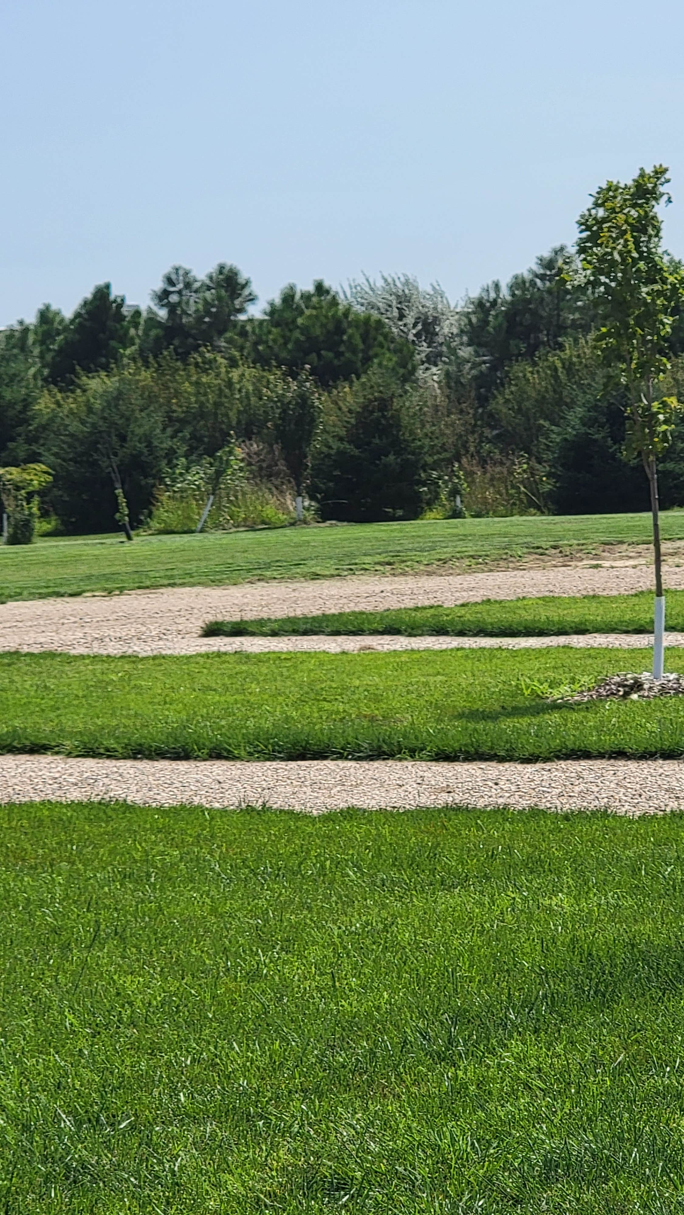 Camper-submitted photo at Hidden Gem Campground near Lake Andes, SD