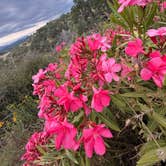 Review photo of Hidden Knoll Farm Glamping by Gabriella B., June 24, 2026