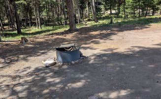 Scott C.'s photo at Hidden Lake Campground near Bonner, MT