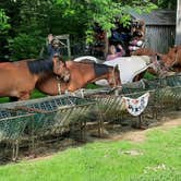 Review photo of Hidden Orchard by Adam L., July 5, 2026