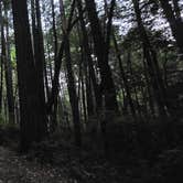 Review photo of Hidden Springs Campground — Humboldt Redwoods State Park by Gianni T., July 17, 2025