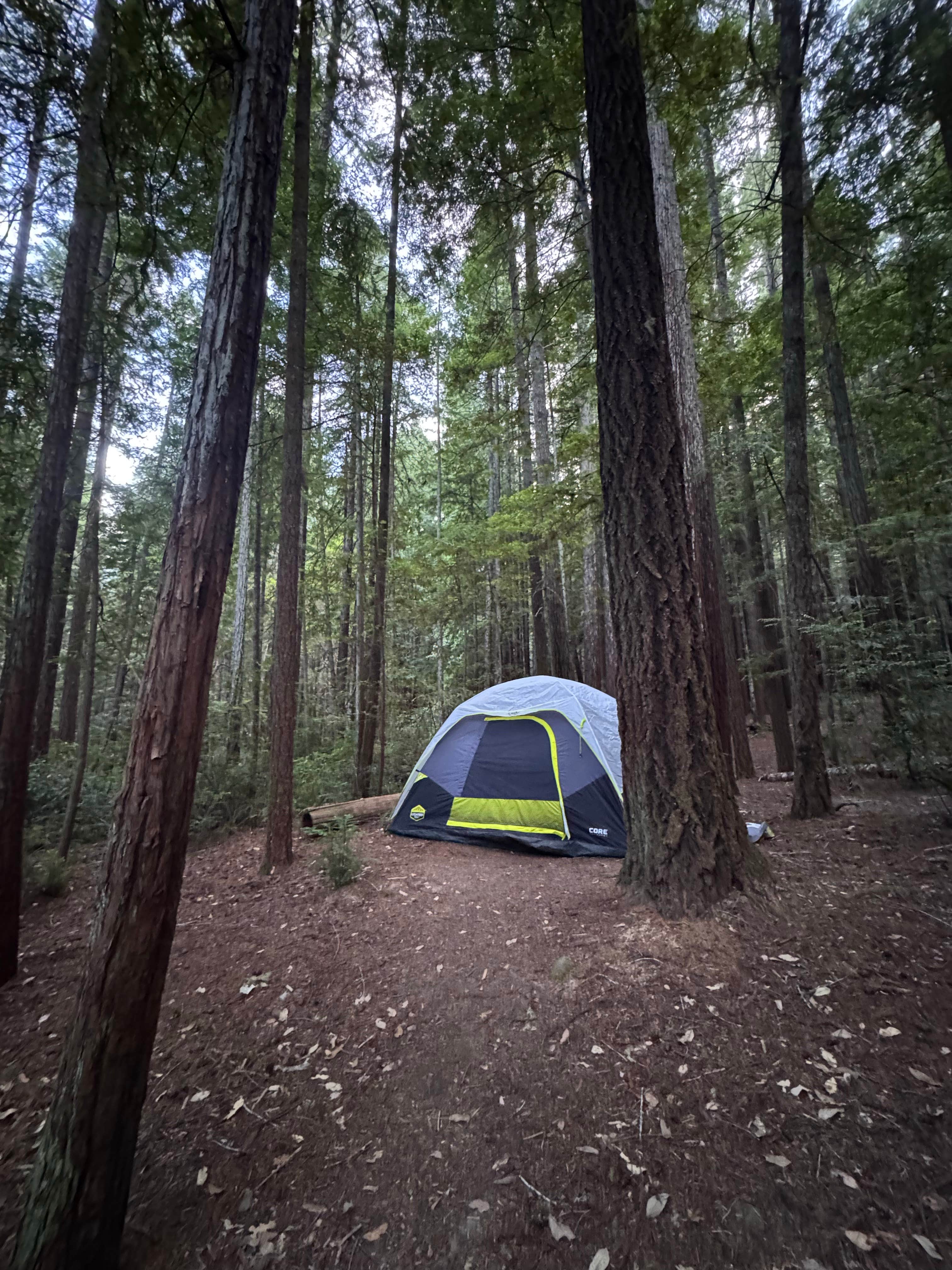 Syd M.'s photo at Hidden Springs Campground — Humboldt Redwoods State Park near Redcrest, CA