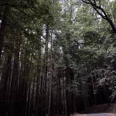 Review photo of Hidden Springs Campground — Humboldt Redwoods State Park by Syd M., June 28, 2026