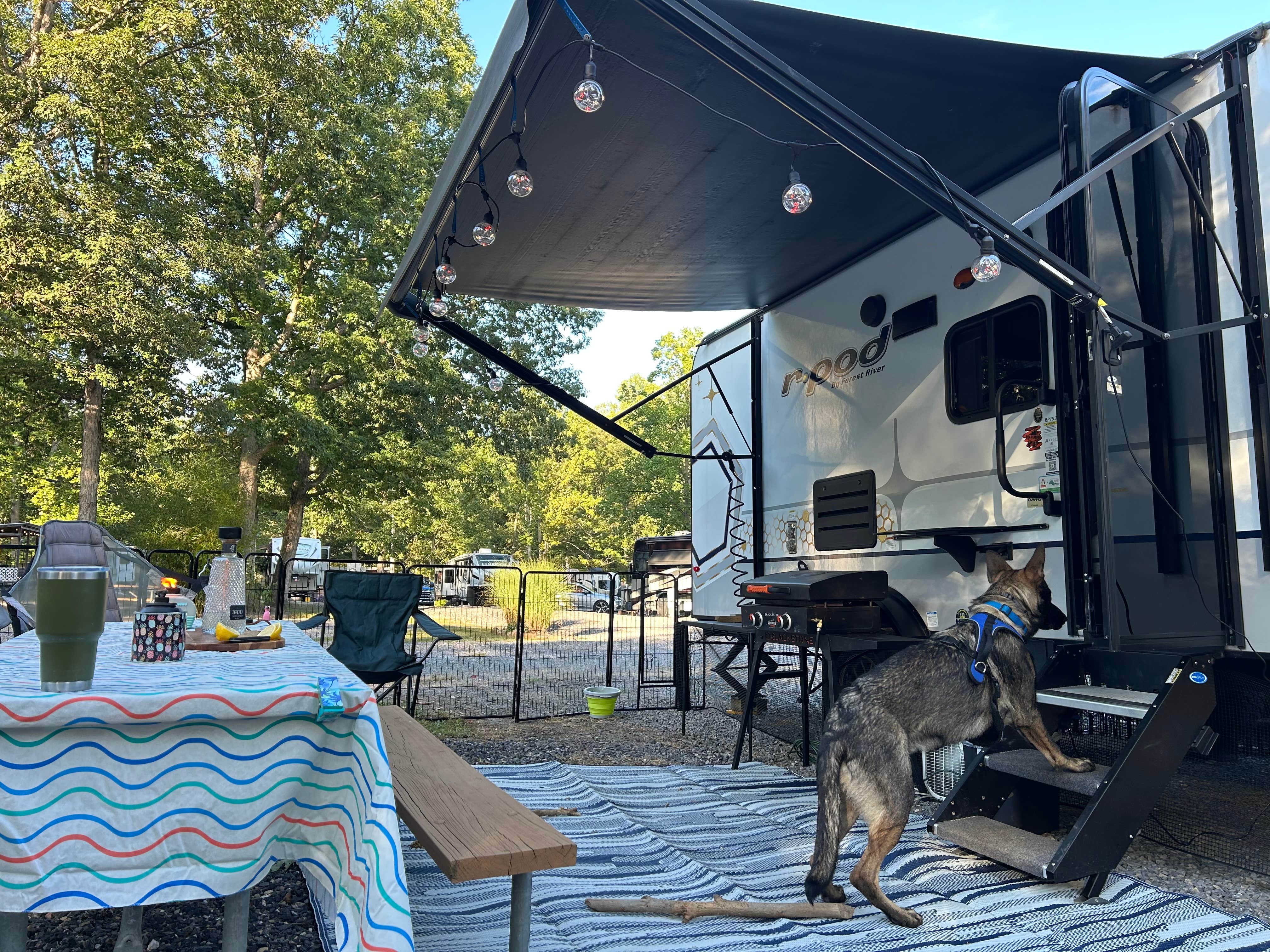 Ronnie B.'s photo of camping with pets at Hidden Springs Campground near Cumberland, MD