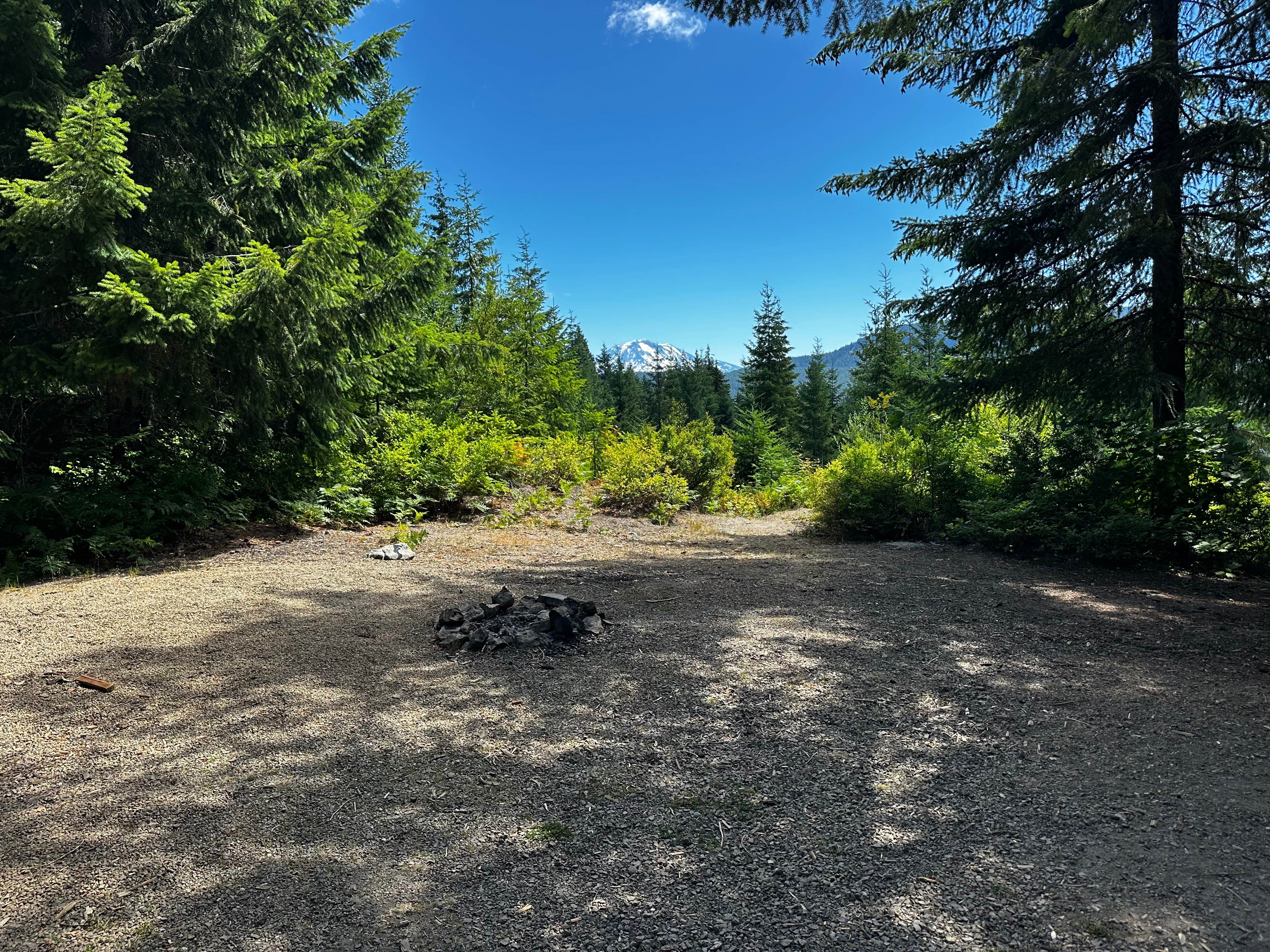 Camper-submitted photo at Hidden St Helens Gem near Cougar, WA