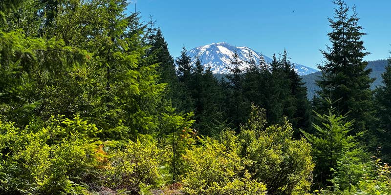 Camper submitted image from Hidden St Helens Gem