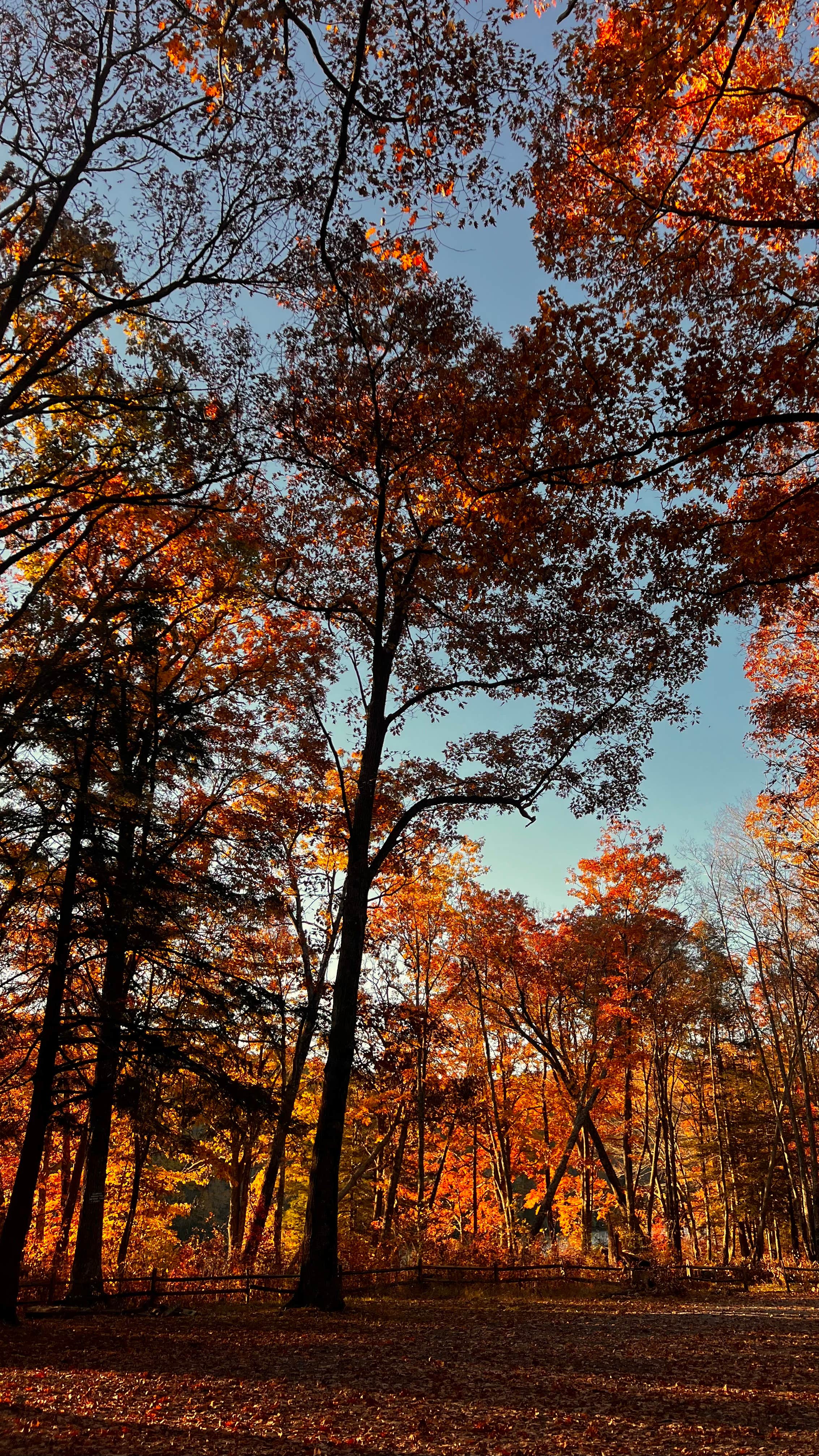 Camper-submitted photo at Hidden Valley WMA near Dryden, VA