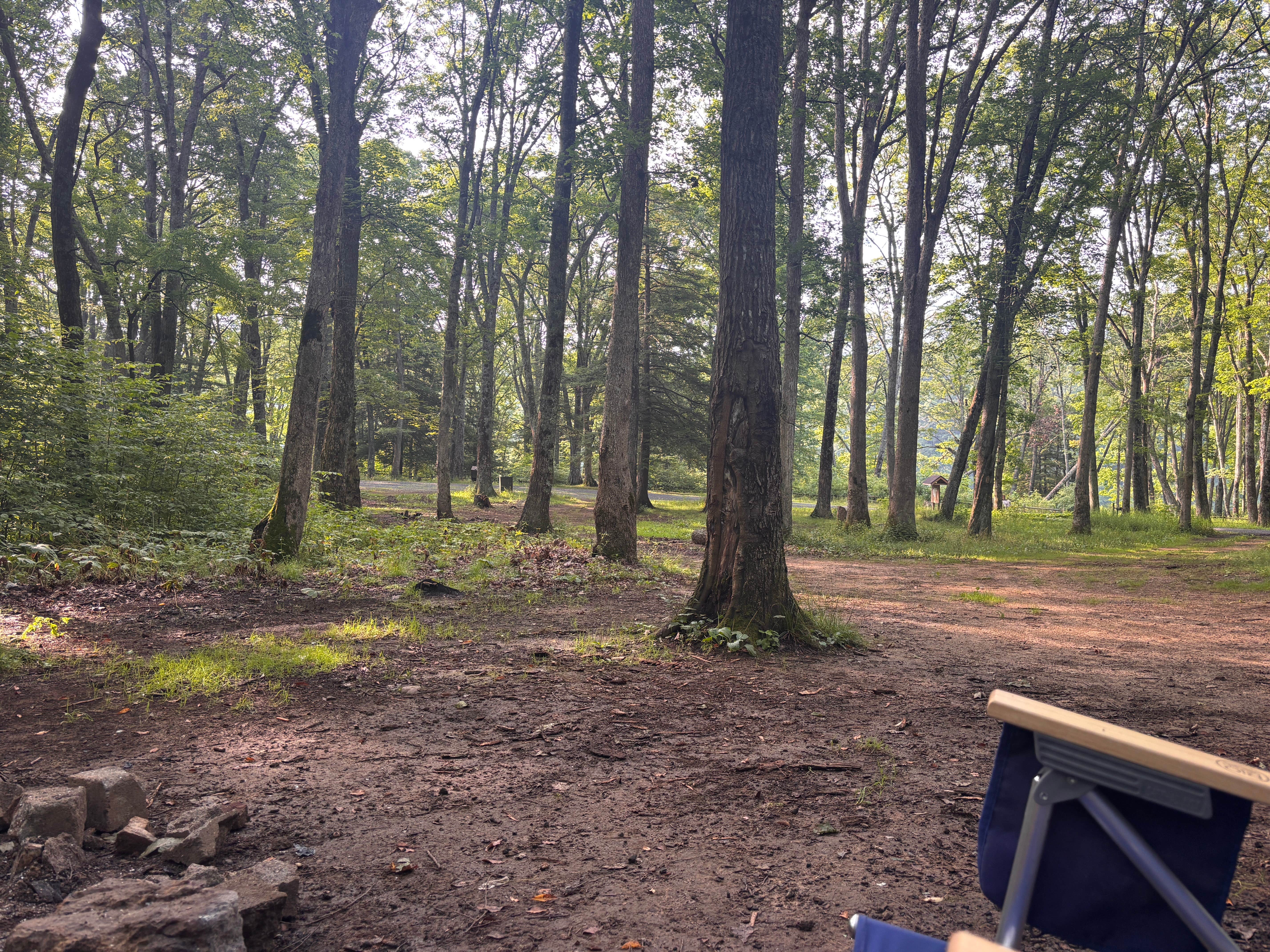 Camper-submitted photo at Hidden Valley WMA near Dryden, VA