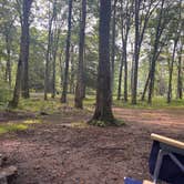 Review photo of Hidden Valley WMA by Zoey T., July 30, 2025