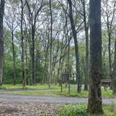 Review photo of Hidden Valley WMA by Betsy W., May 27, 2026