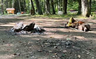 Betsy W.'s photo of a dispersed camping area at Hidden Valley WMA near Clintwood, VA