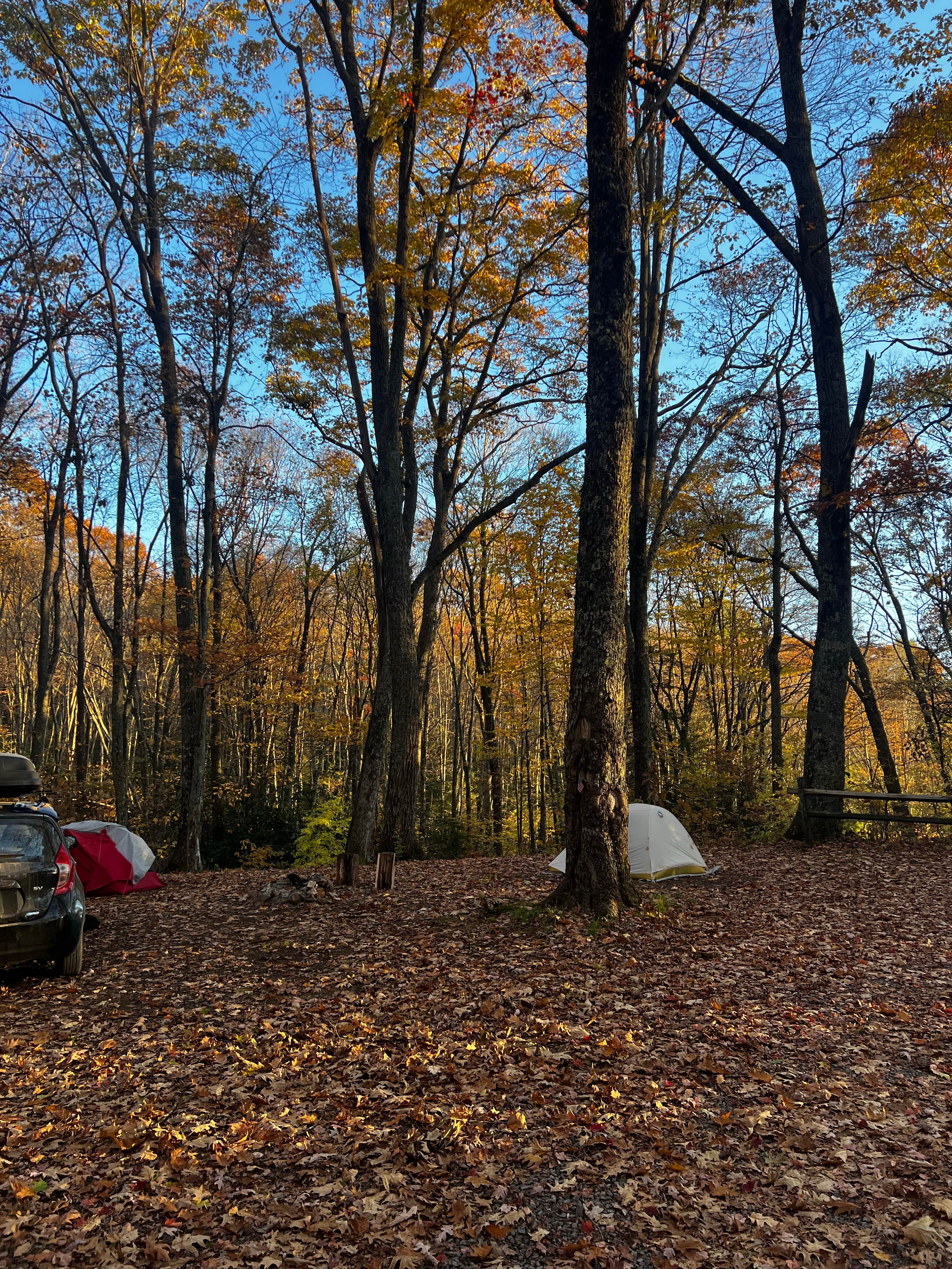 Rhys R.'s photo at Hidden Valley WMA near Wise, VA