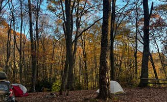 Rhys R.'s photo at Hidden Valley WMA near John W. Flannagan Dam and Reservoir