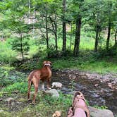 Review photo of Hidden Waters RV Park & Campground by Name , May 31, 2026