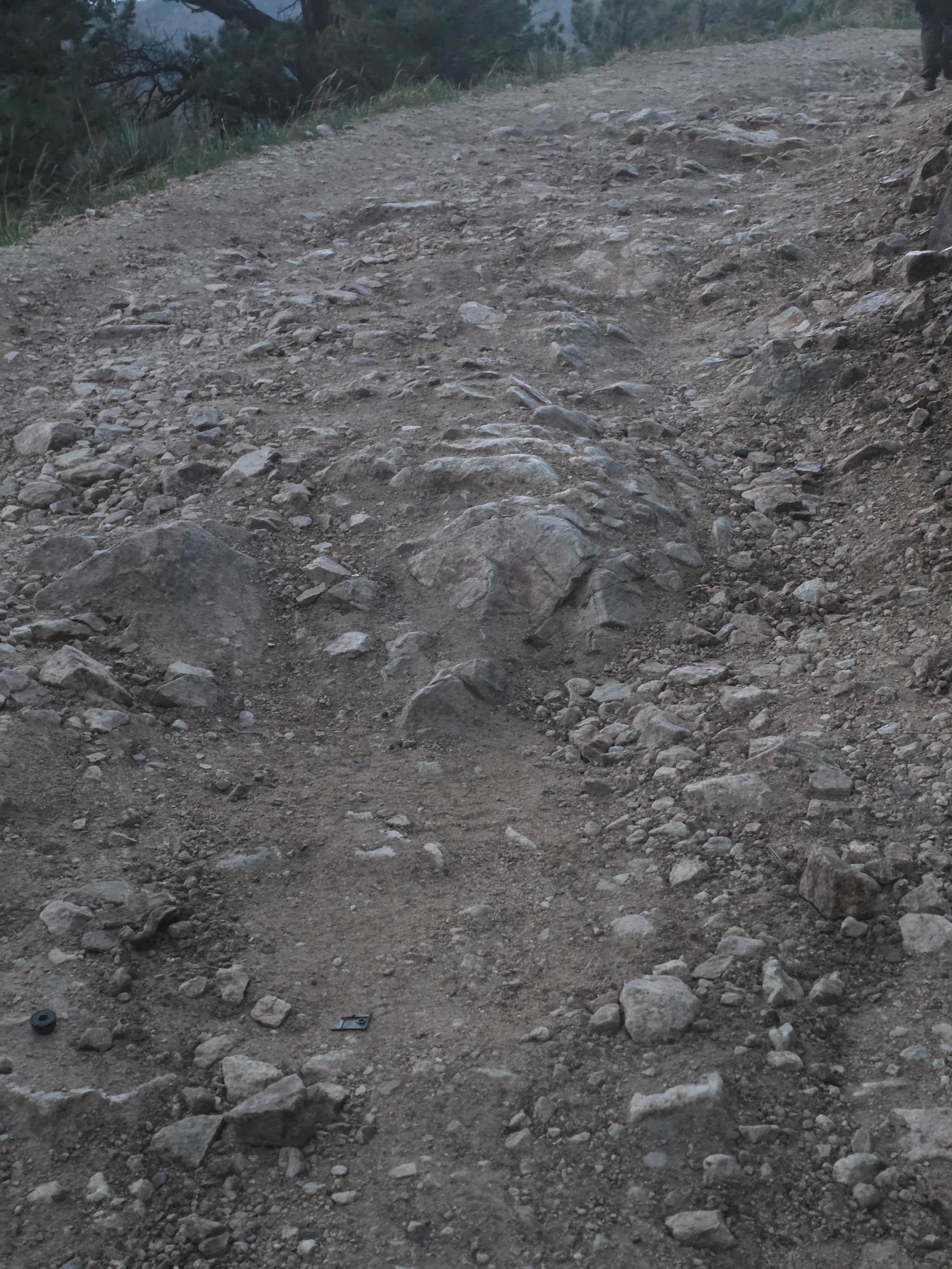 Camper-submitted photo at Hidden Wilderness Roadside Camp #2 near Idledale, CO
