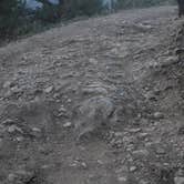 Review photo of Hidden Wilderness Roadside Camp #2 by Charlee R., May 16, 2025