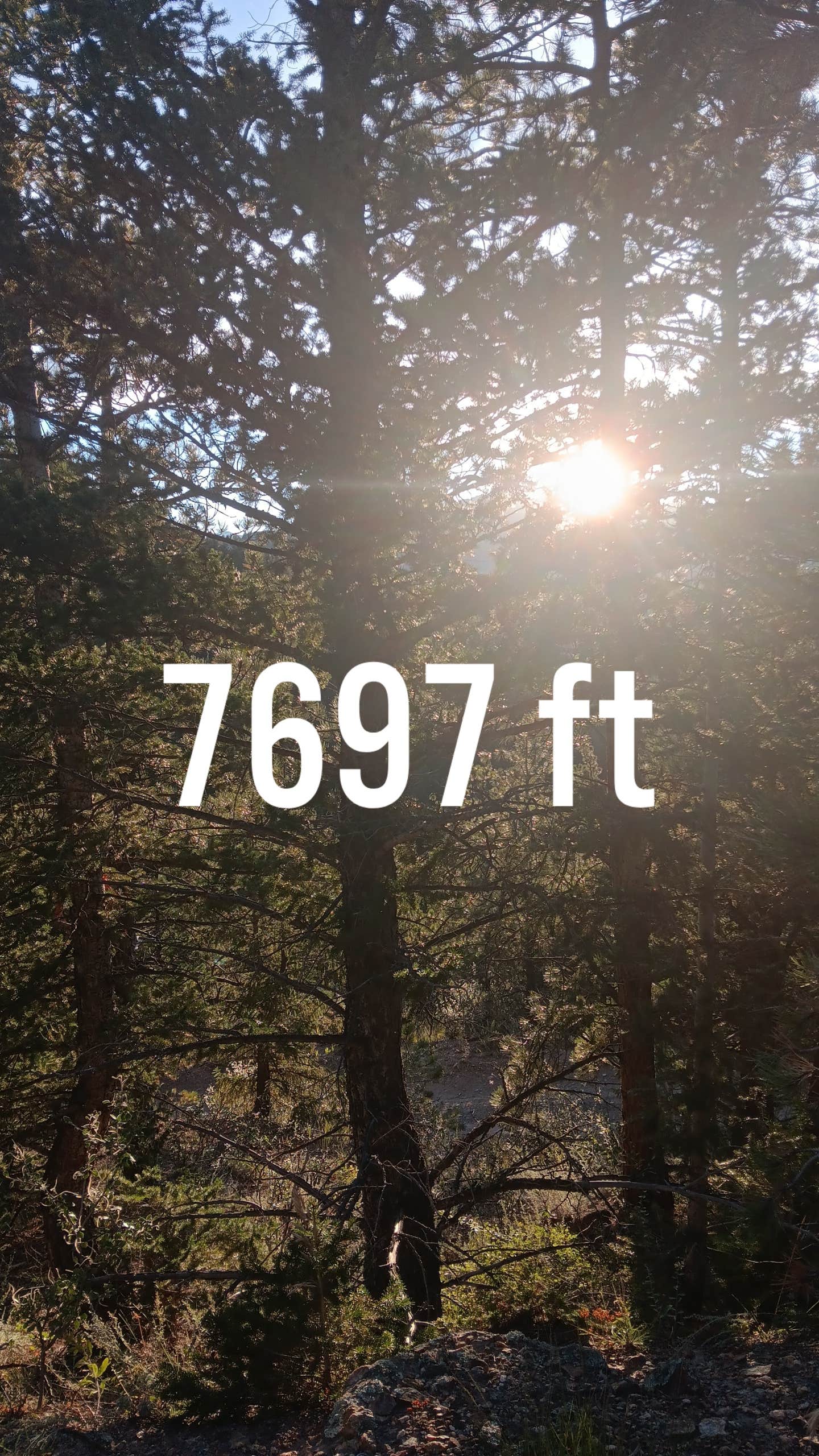 Voyager D.'s photo of a dispersed camping area at Hidden Wilderness Roadside Camp #2 near Watkins, CO