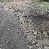 Review photo of Hidden Wilderness Roadside Camp #2 by Christa C., August 9, 2026