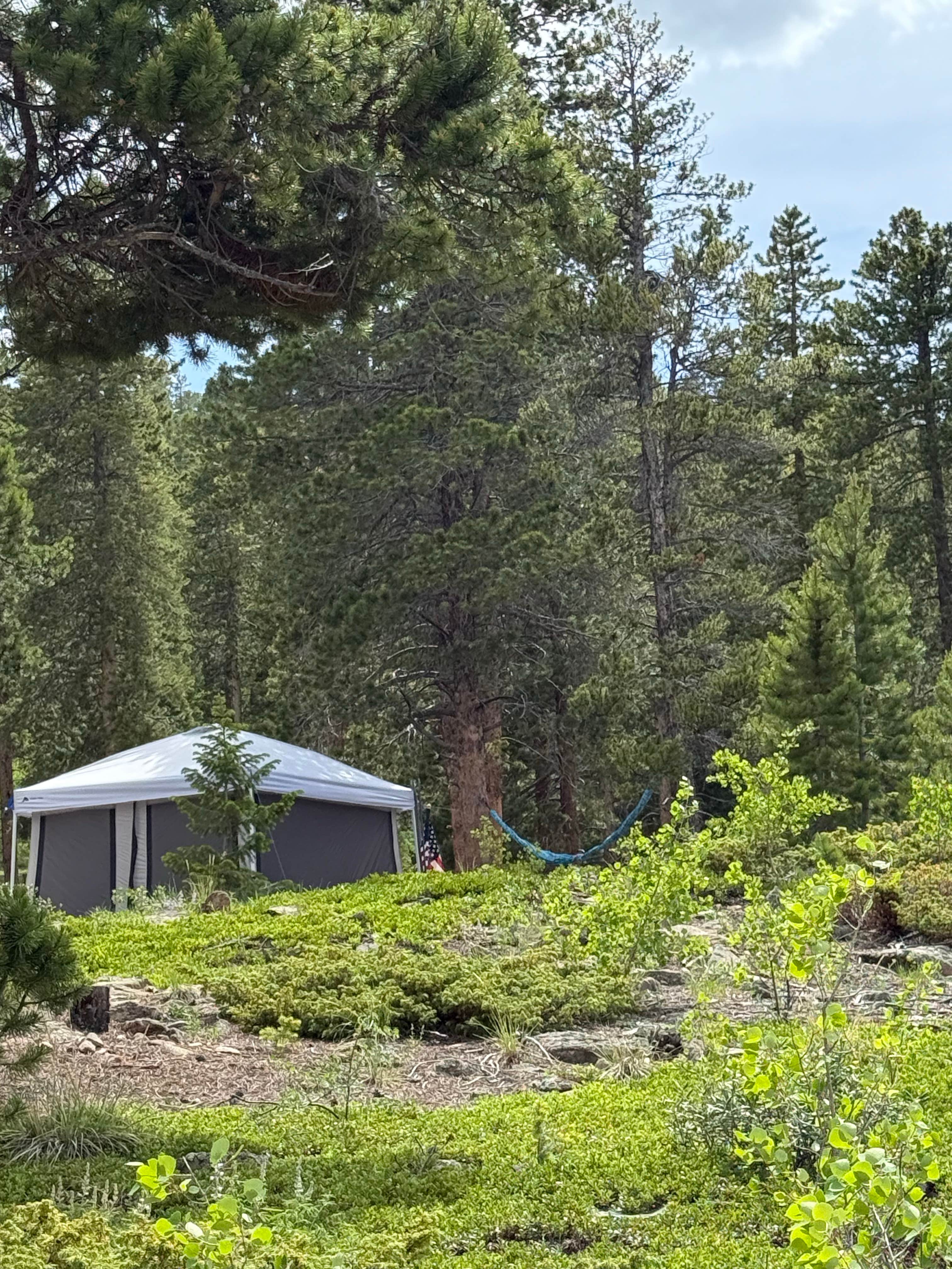 Camper-submitted photo at Hidden Wilderness Roadside Camp #1 near Idledale, CO