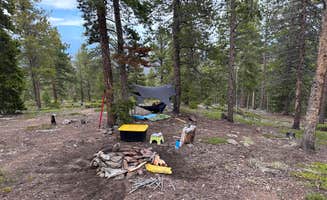 JoeDan's photo at Hidden Wilderness Roadside Camp #1 near Idaho Springs, CO