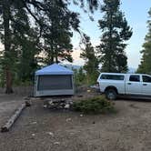 Review photo of Hidden Wilderness Roadside Camp #1 by John B., June 25, 2025