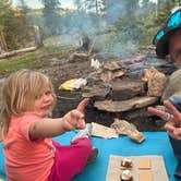 Review photo of Hidden Wilderness Roadside Camp #1 by JoeDan , June 1, 2025