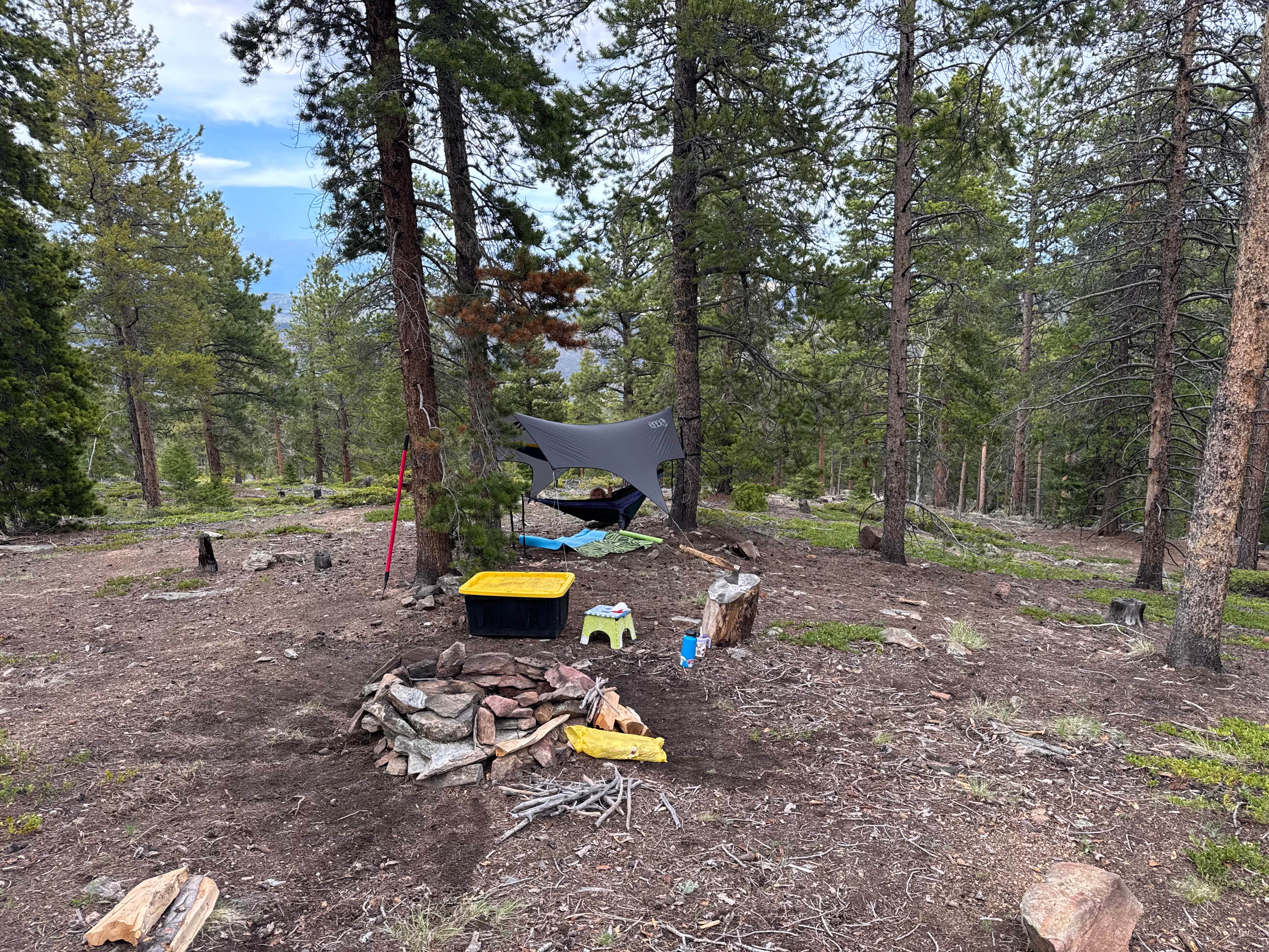 Camper submitted image from Hidden Wilderness Roadside Camp #1 - 4