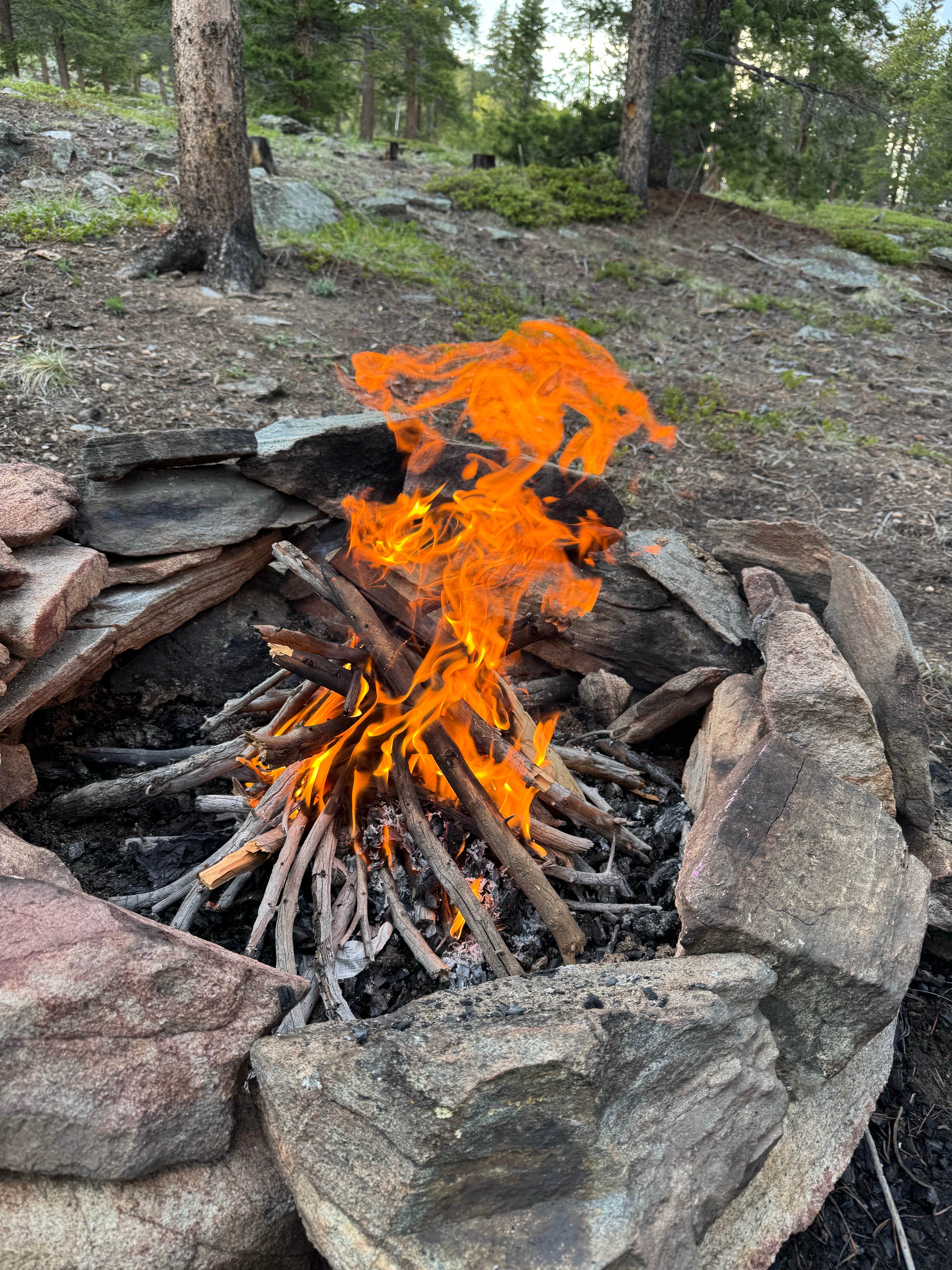 Camper submitted image from Hidden Wilderness Roadside Camp #1 - 3