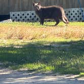 Review photo of Hide-A-Way Cove Campground by Victoria V., June 22, 2026