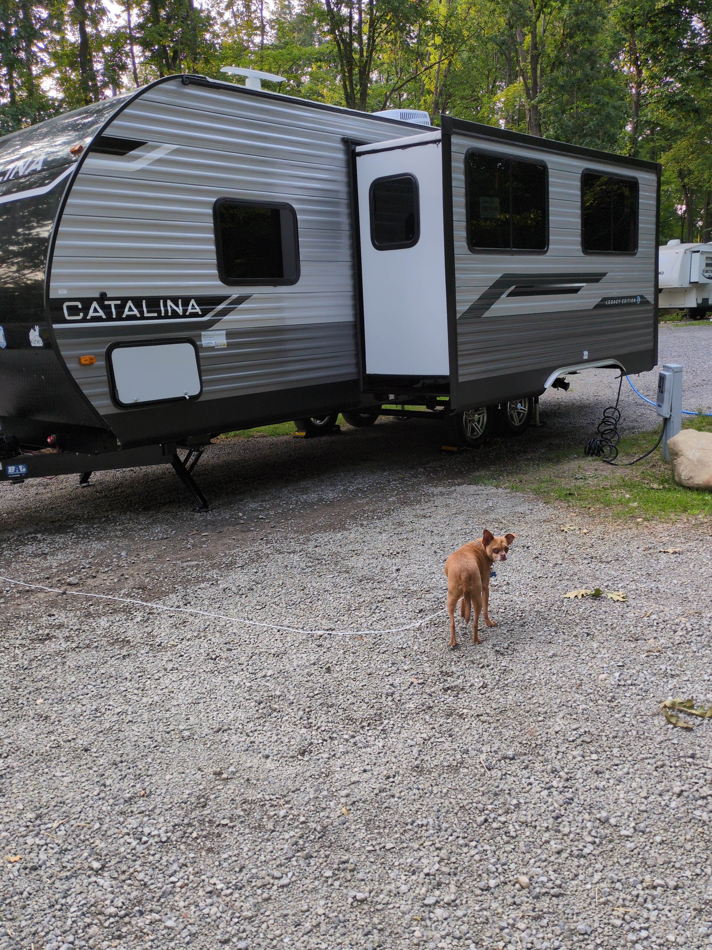 Wendy F.'s photo of rv camping at Hideaway RV Park near New Hudson, MI