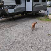 Review photo of Hideaway RV Park by Wendy F., July 15, 2024