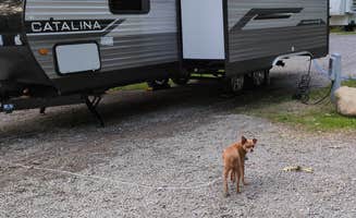 Wendy F.'s photo of camping with pets at Hideaway RV Park near Okemos, MI