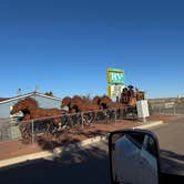 Review photo of High Desert RV Park by Butch K., September 18, 2025