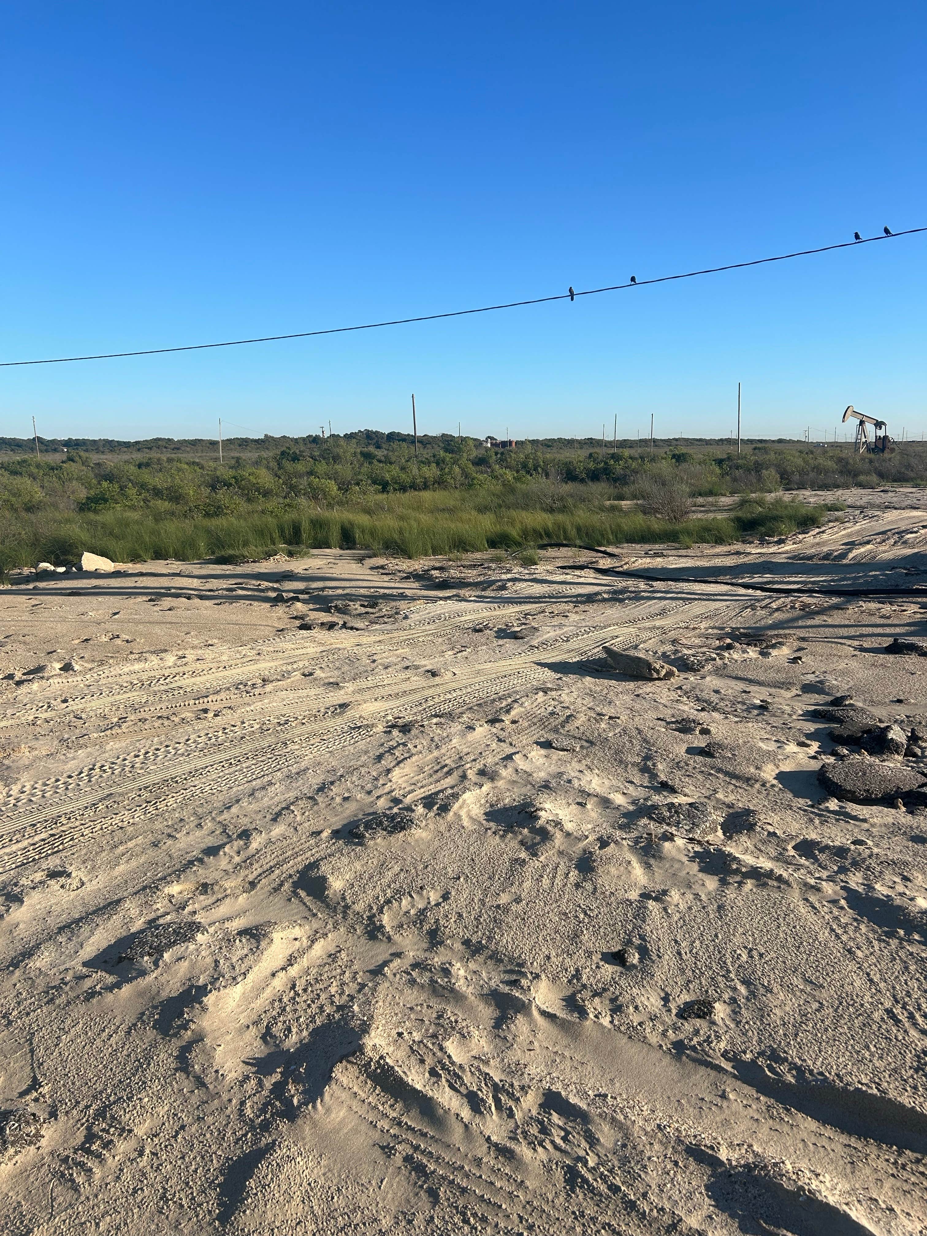Camper-submitted photo at High Island Beach near Wallisville, TX
