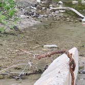 Review photo of High Island Creek Park by DIANNE T., May 17, 2026