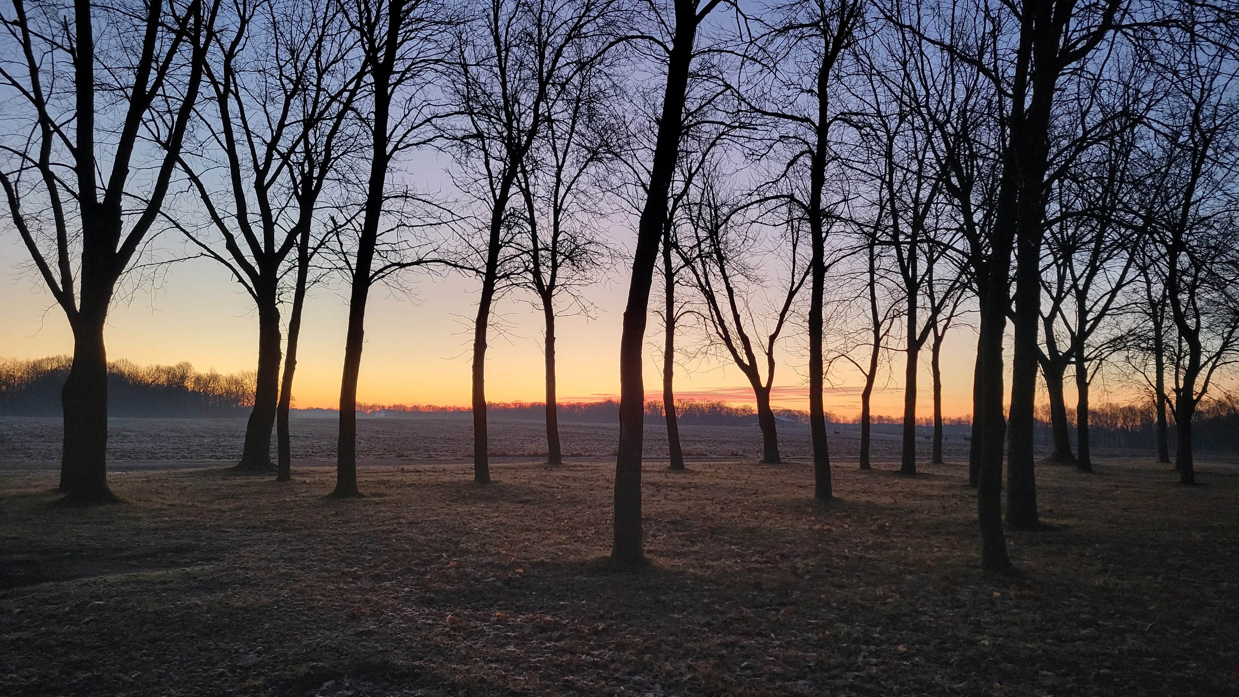 Camper submitted image from High Island Creek Park - 1