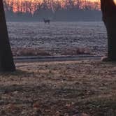 Review photo of High Island Creek Park by Skip H., February 1, 2024