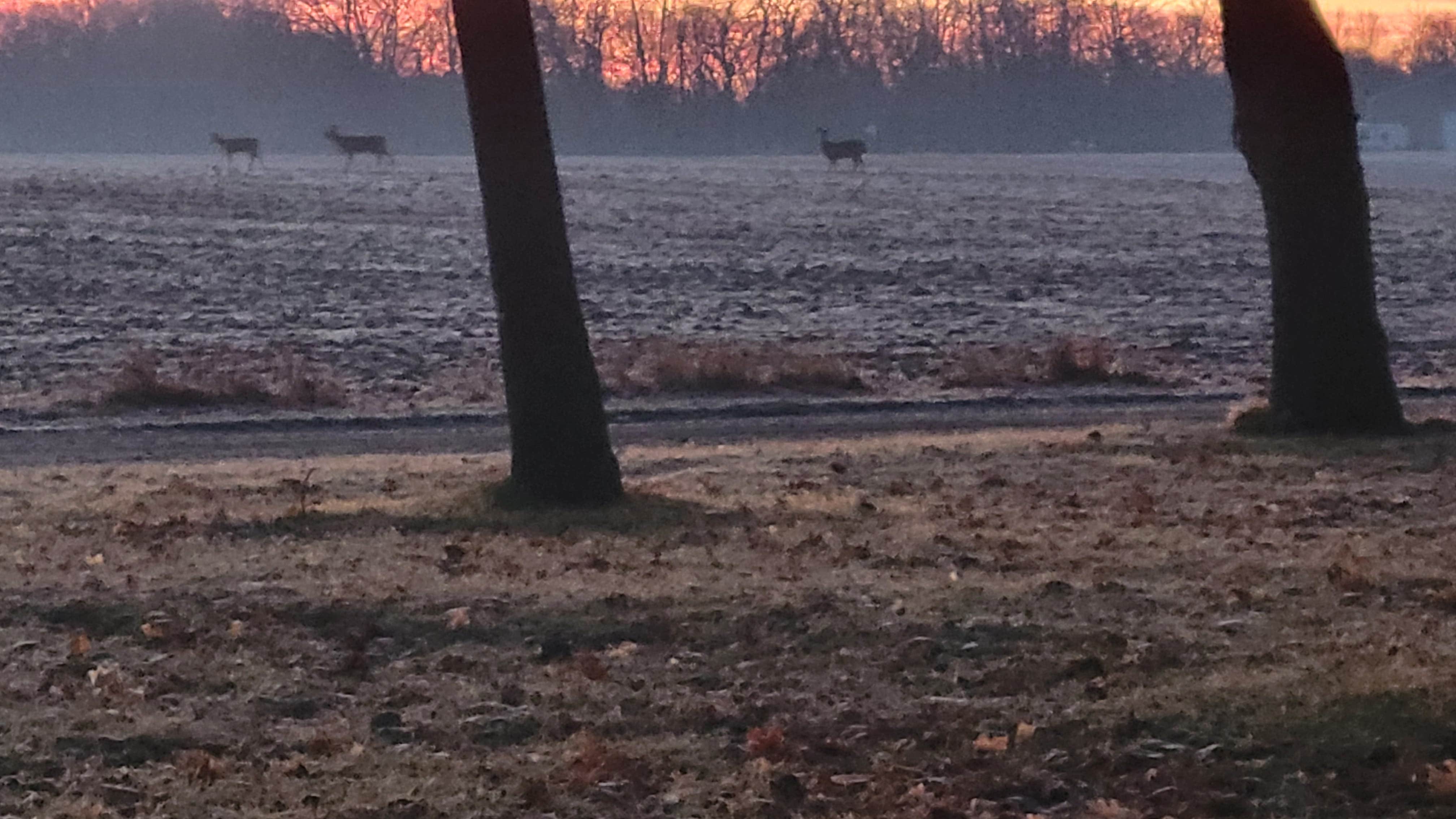 Camper submitted image from High Island Creek Park - 4