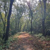 Review photo of High Island Creek Park by Jennifer H., October 21, 2023