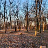 Review photo of High Island Creek Park by Skip H., February 1, 2024