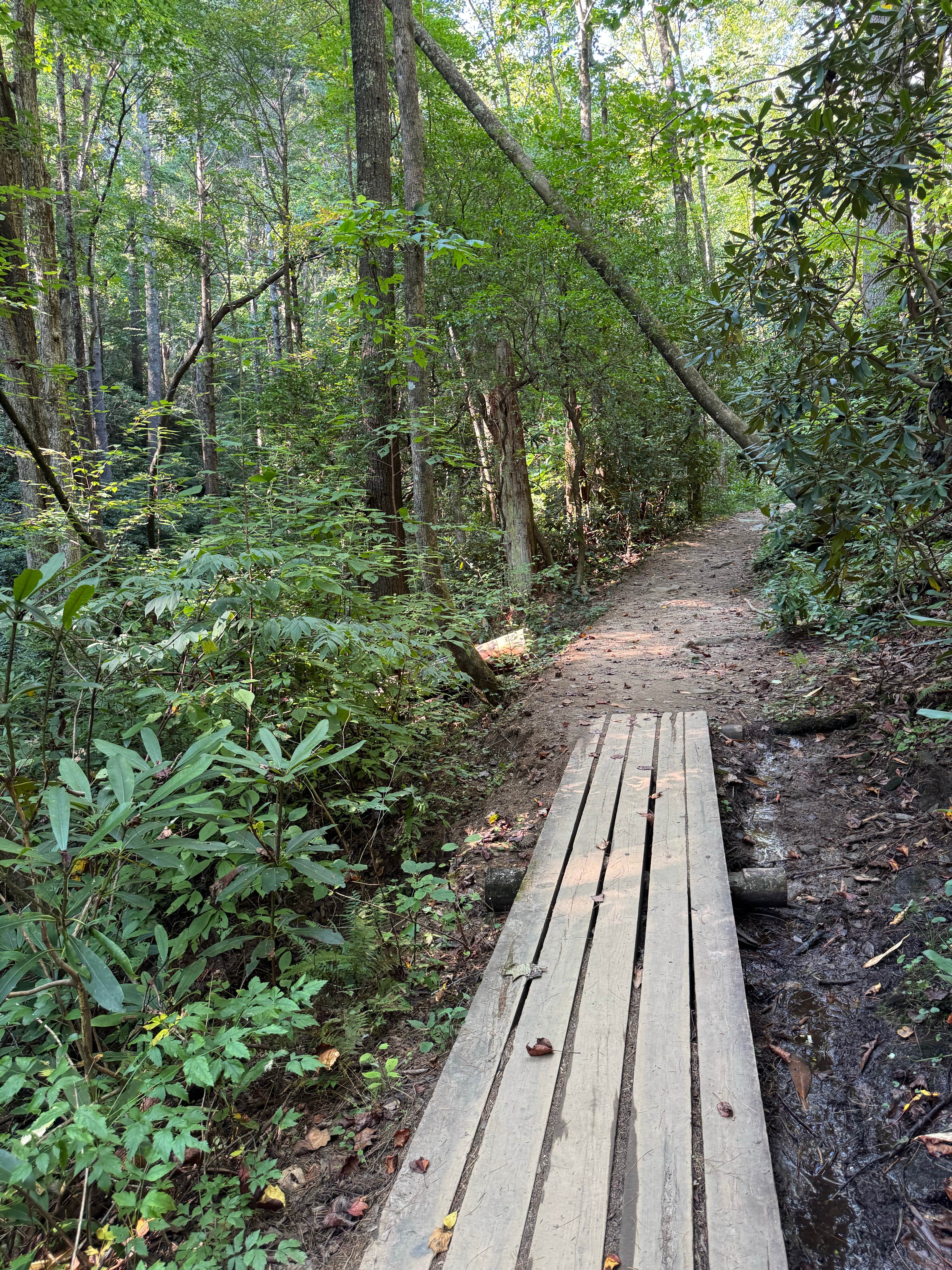 Camper-submitted photo at High Shoals Falls Trail Dispersed near Toccoa, GA