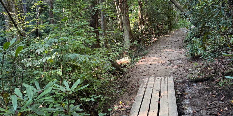 Camper submitted image from High Shoals Falls Trail Dispersed