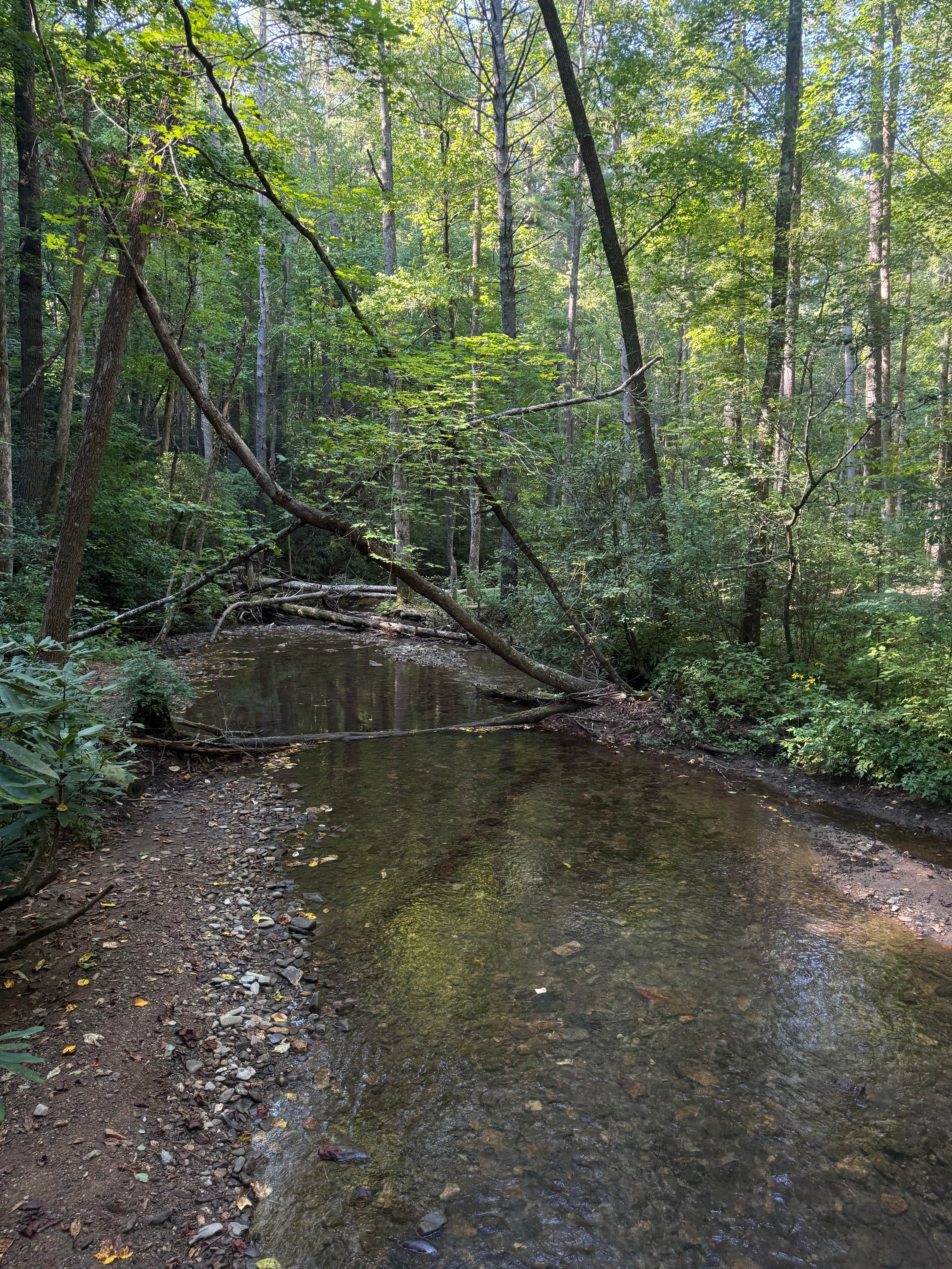 Camper-submitted photo at High Shoals Falls Trail Dispersed near Toccoa, GA