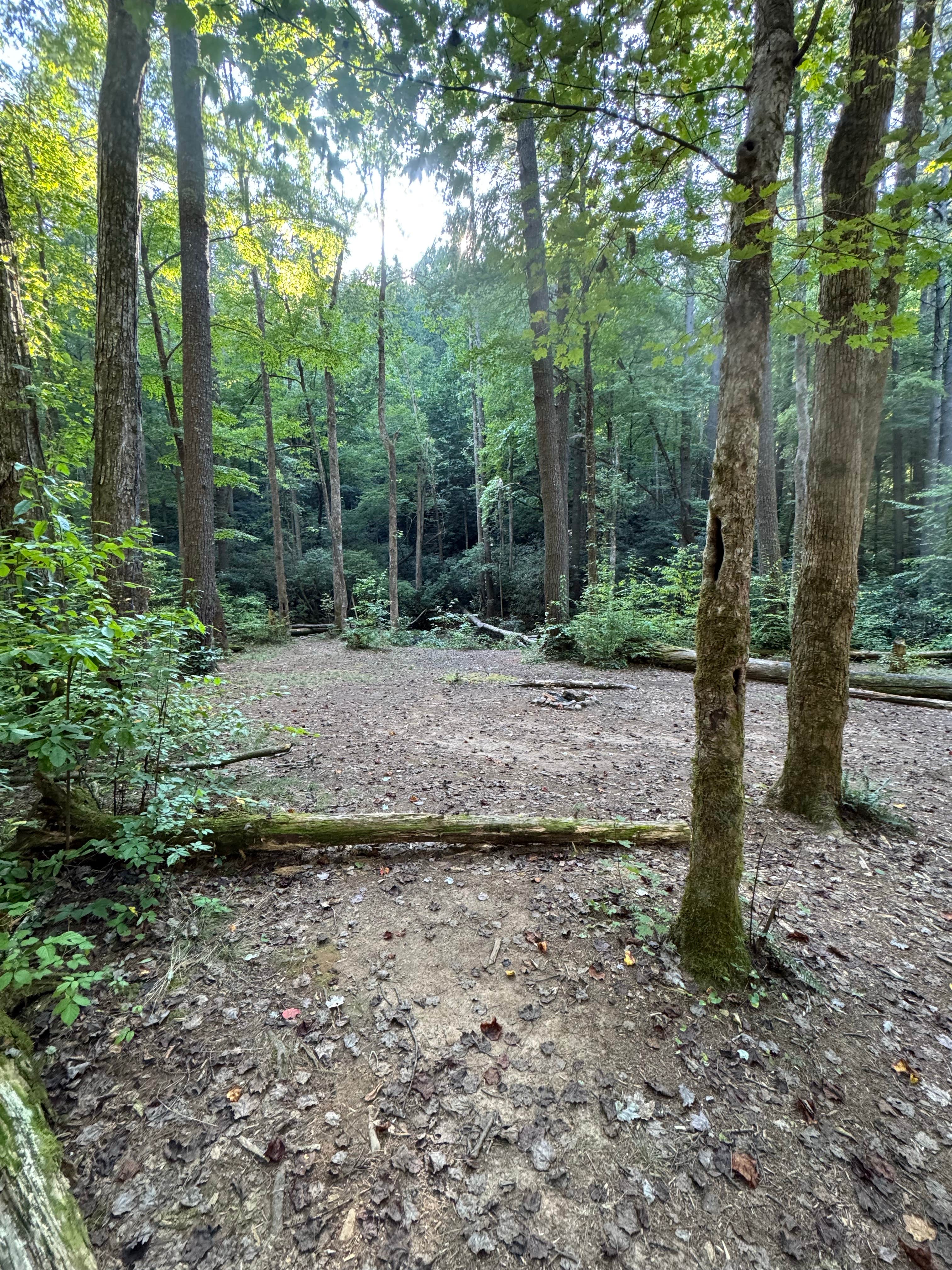 Camper-submitted photo at High Shoals Falls Trail Dispersed near Toccoa, GA