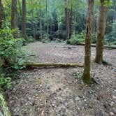 Review photo of High Shoals Falls Trail Dispersed by Noah W., September 17, 2026