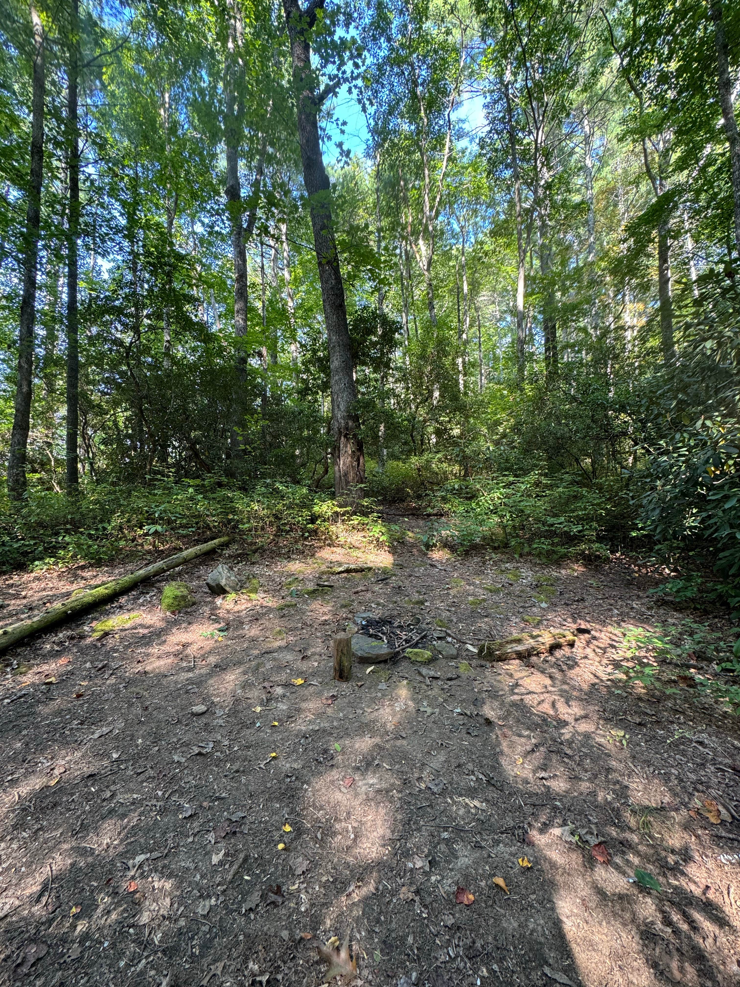 Camper-submitted photo at High Shoals Falls Trail Dispersed near Toccoa, GA