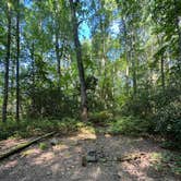 Review photo of High Shoals Falls Trail Dispersed by Noah W., September 17, 2026